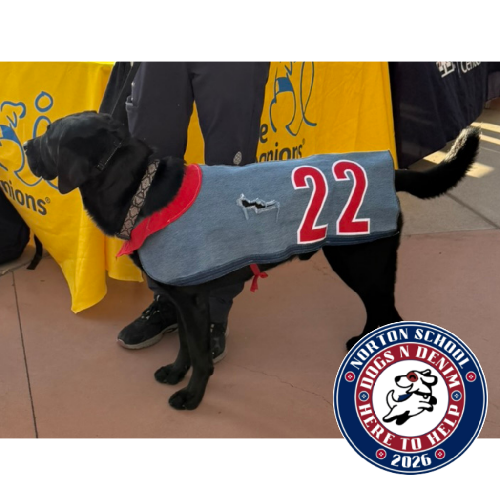 DogsNDenim 2026