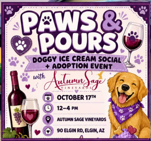 Paws & Pours image