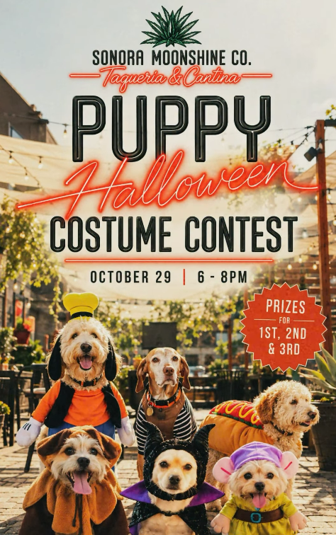 Puppy Halloween Costume Contest at Sonora Moonshine Co.
